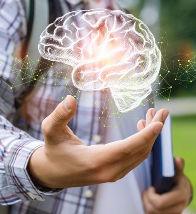 Executive functioning program tmb