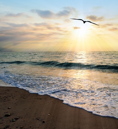 Overcoming grief tmb